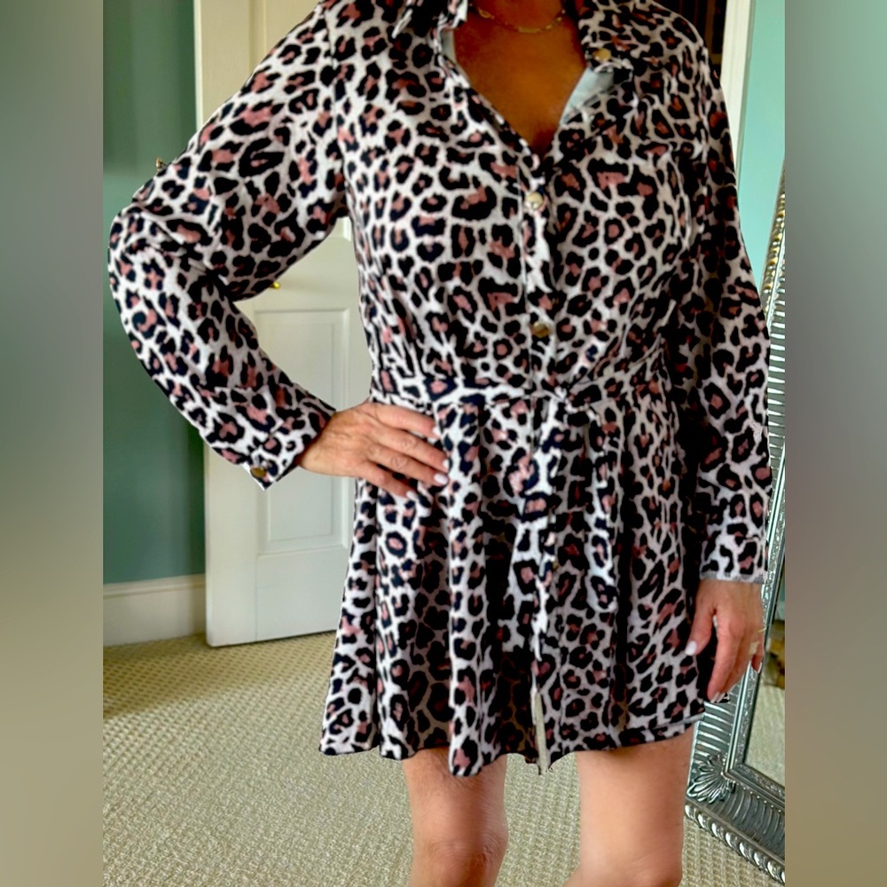 Leopard Print Dress/Tunic Top